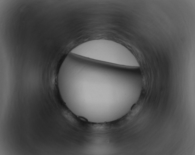 X0000088130574200705141000