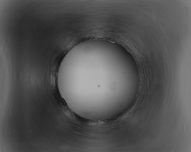X0000088130576200705141000