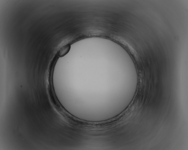 X0000088130582200705140959