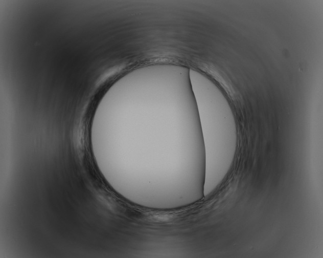 X0000088130583200705140959
