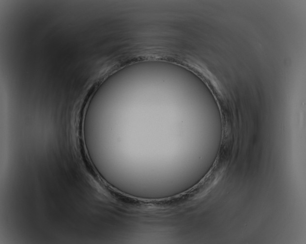 X0000088130585200705140959