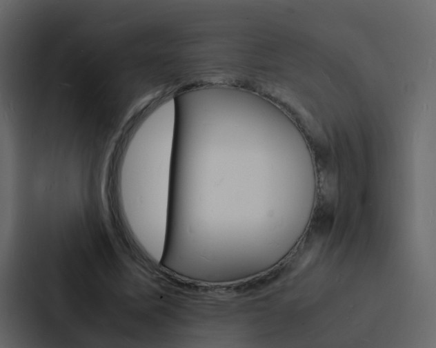 X0000088130587200705140959