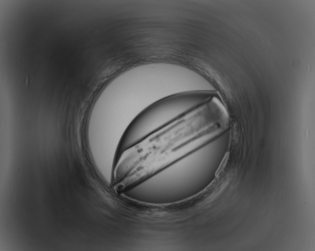 X0000088130589200705140959
