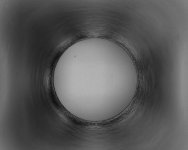 X0000088130590200705140959