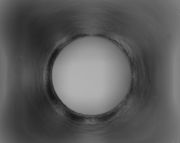 X0000088130591200705140959