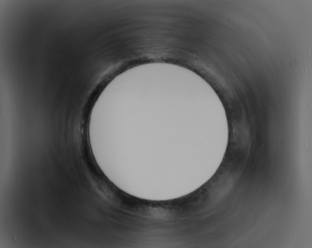 X0000088130592200705140959