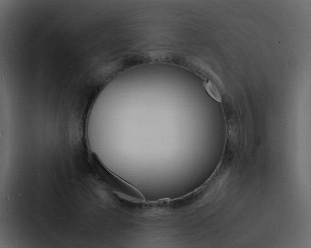 X0000088130593200705140959