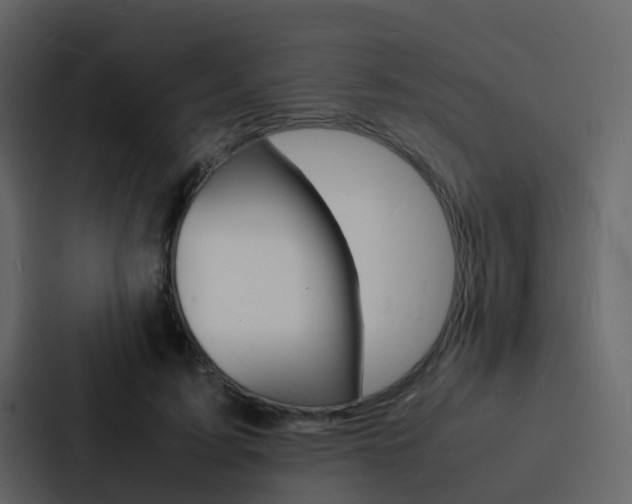 X0000088130595200705140959