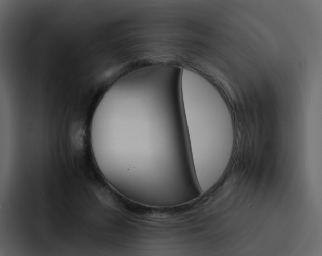 X0000088130596200705140959