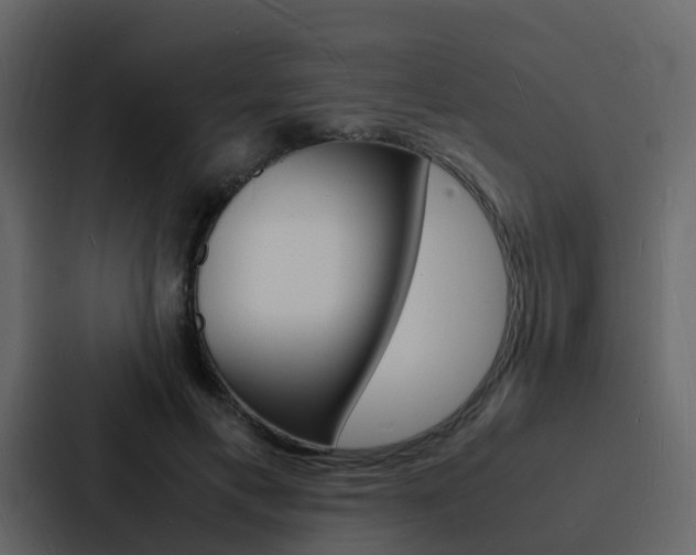 X0000088130597200705140959