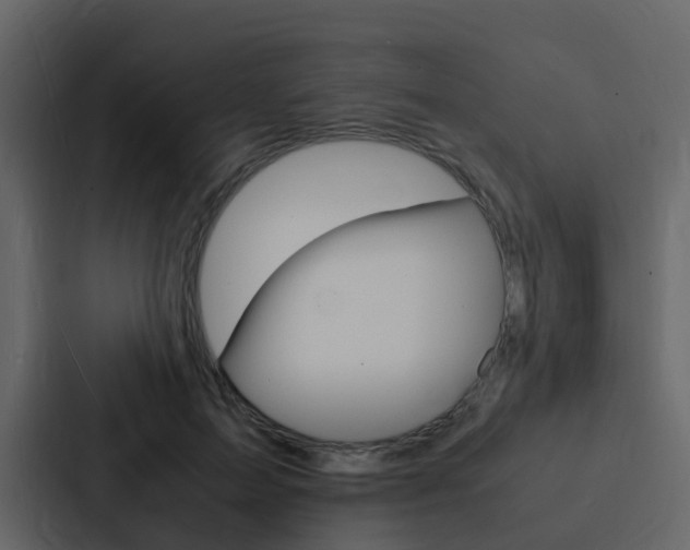 X0000088130599200705140959