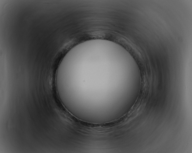 X0000088130600200705140959