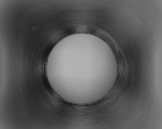 X0000088130602200705140959