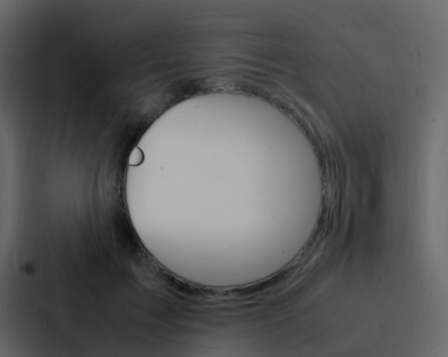 X0000088130603200705140959