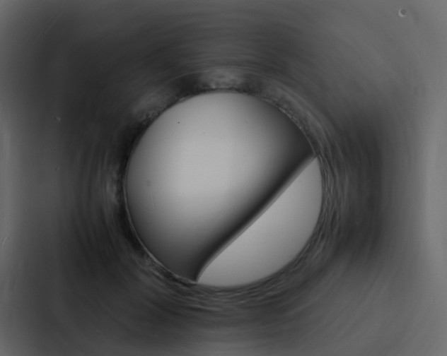 X0000088130604200705140959