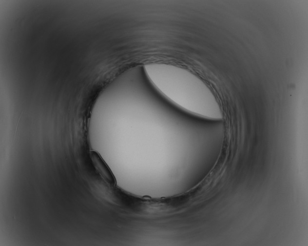 X0000088130605200705140959