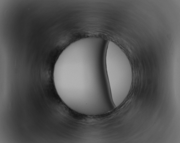 X0000088130608200705140959