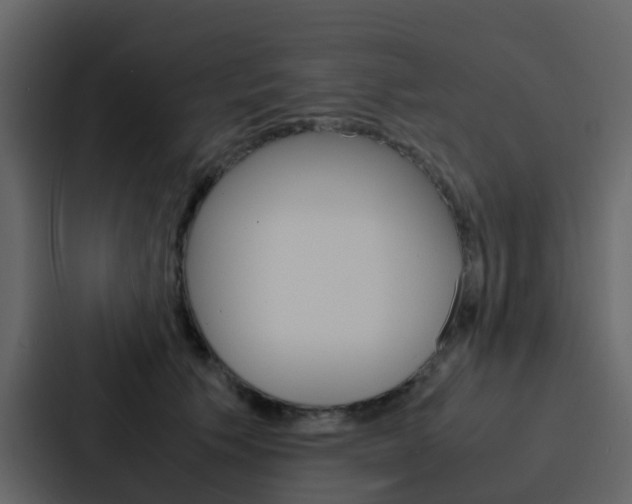X0000088130609200705140959