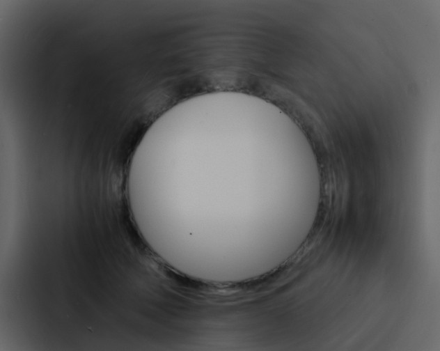 X0000088130610200705140959