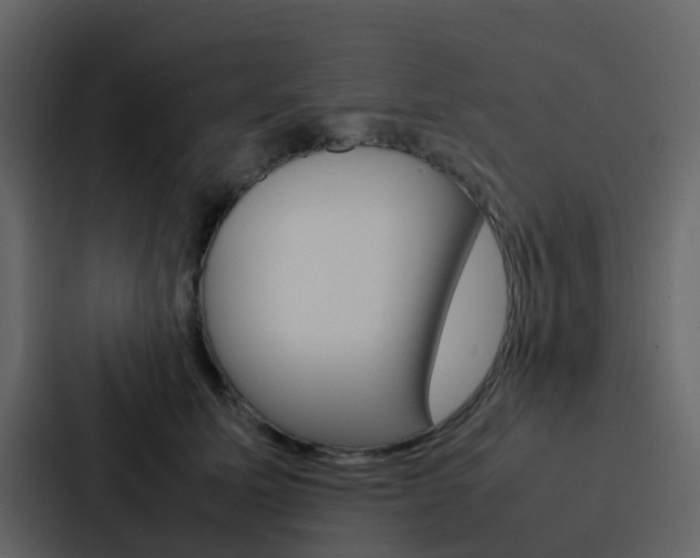 X0000088130611200705140959