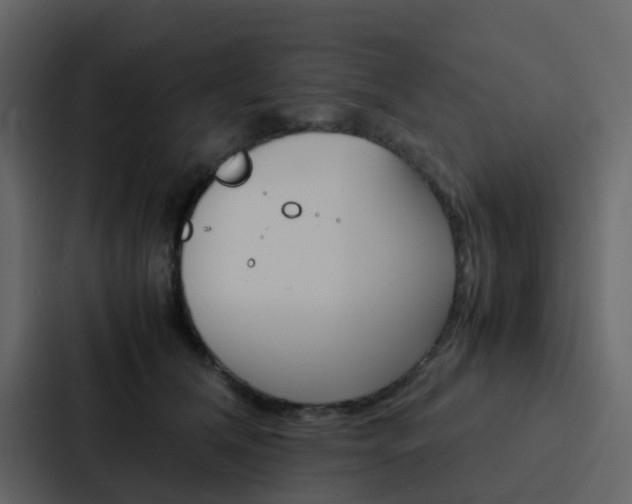 X0000088130612200705140958