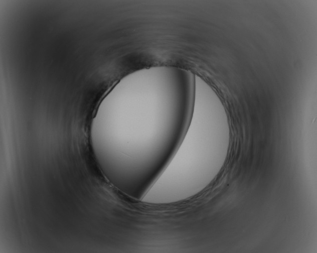 X0000088130613200705140958