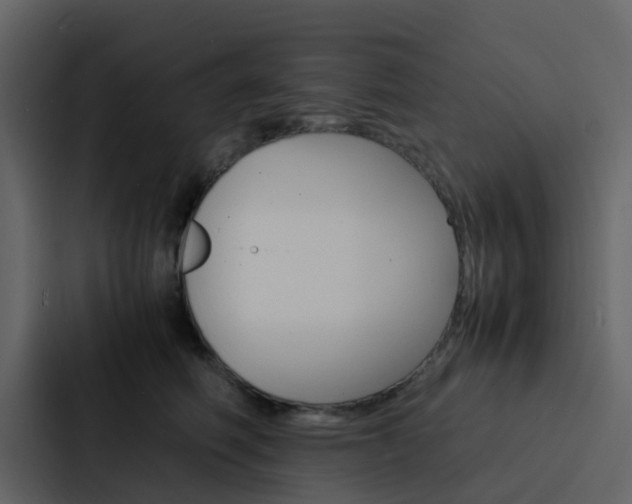 X0000088130614200705140958