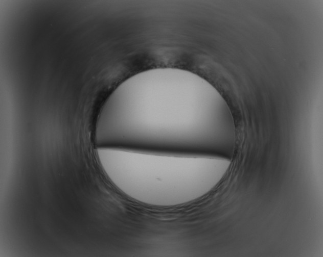 X0000088130615200705140958