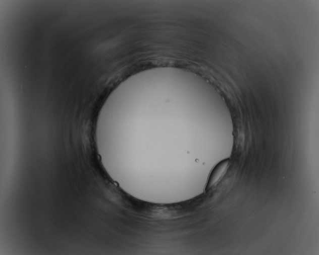 X0000088130616200705140958
