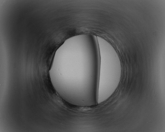 X0000088130617200705140958