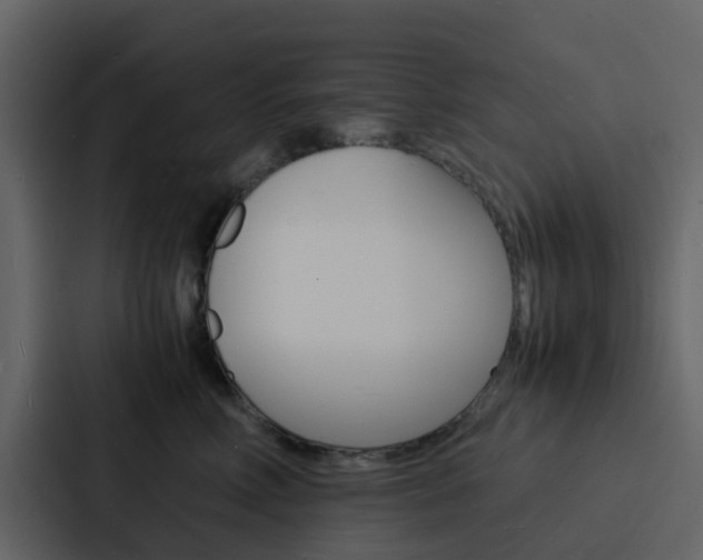X0000088130618200705140958