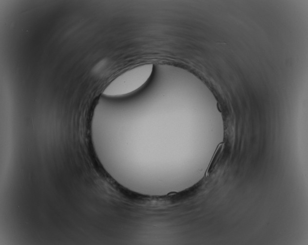 X0000088130619200705140958