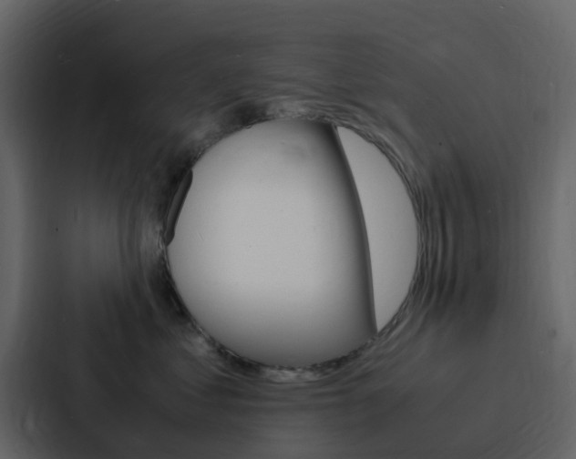 X0000088130621200705140958