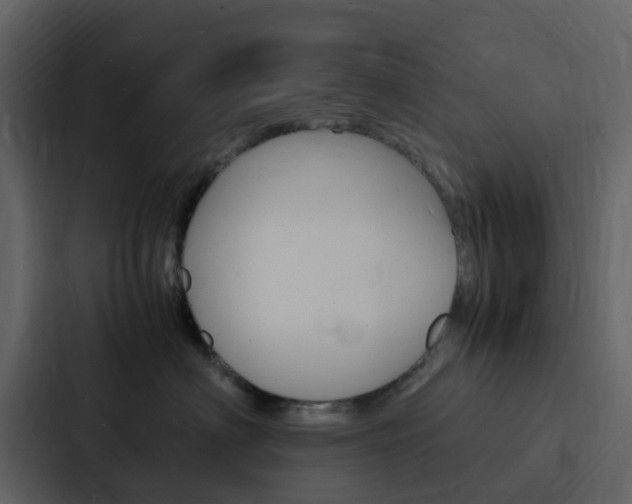 X0000088130622200705140958
