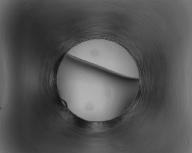X0000088130623200705140958