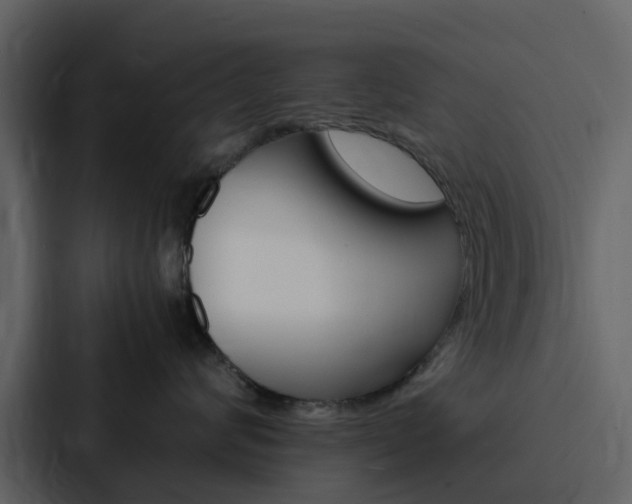 X0000088130624200705140958