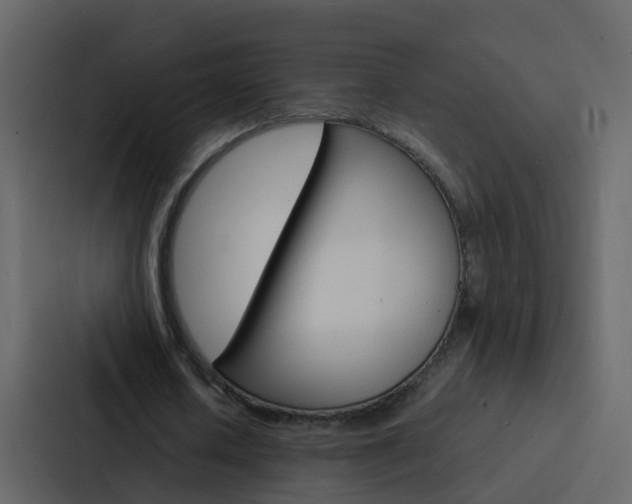 X0000088130626200705140958