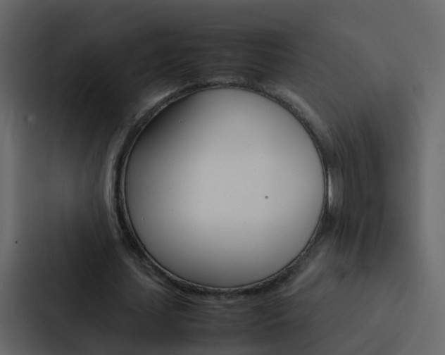 X0000088130627200705140958