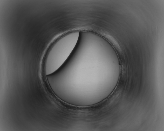 X0000088130628200705140958