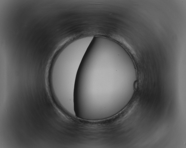 X0000088130629200705140958