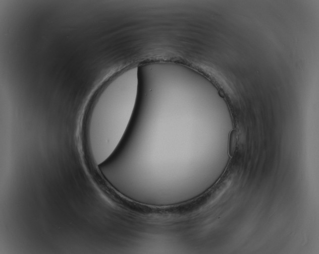 X0000088130630200705140958