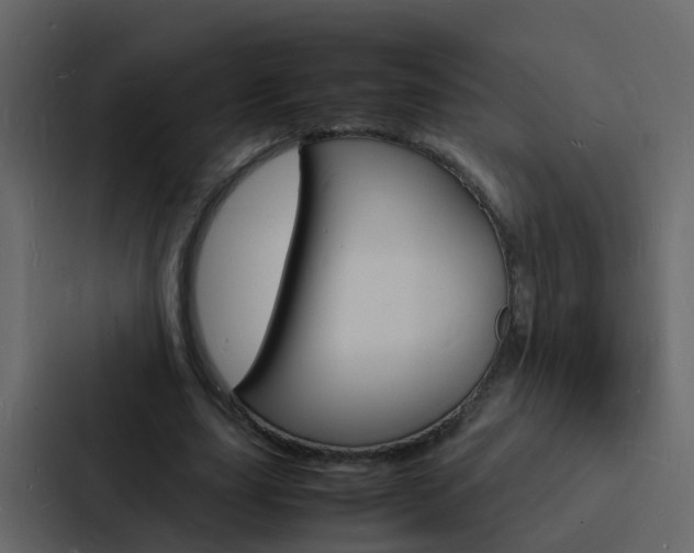 X0000088130631200705140958