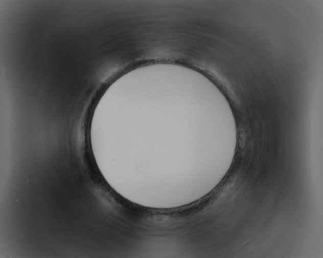X0000088130632200705140958