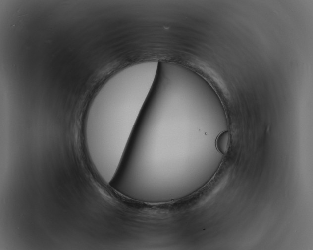 X0000088130633200705140958