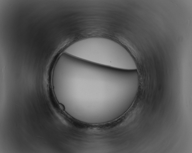 X0000088130634200705140958