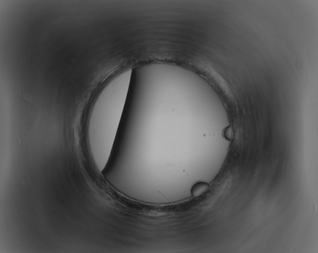 X0000088130635200705140958