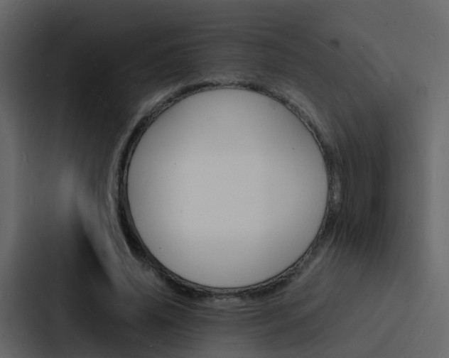 X0000088130636200705140958