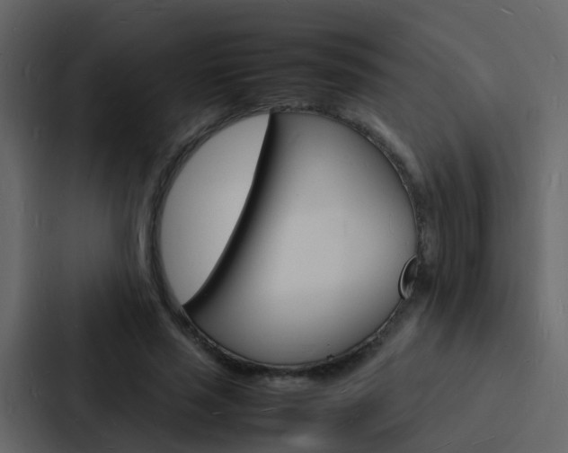X0000088130637200705140958