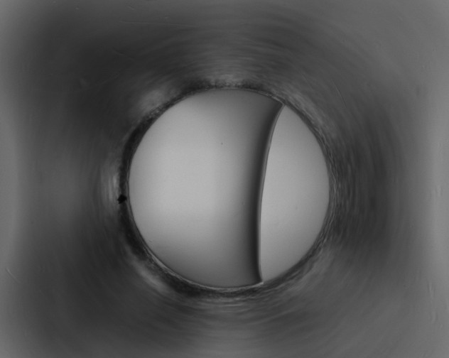 X0000088130638200705140958