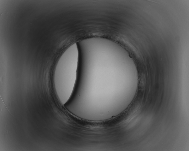 X0000088130639200705140958